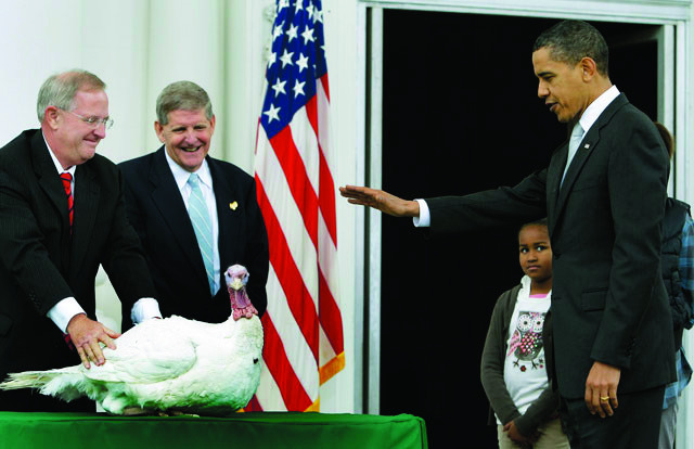 Bourbon-maker Wild Turkey wants pardoned Obama turkey