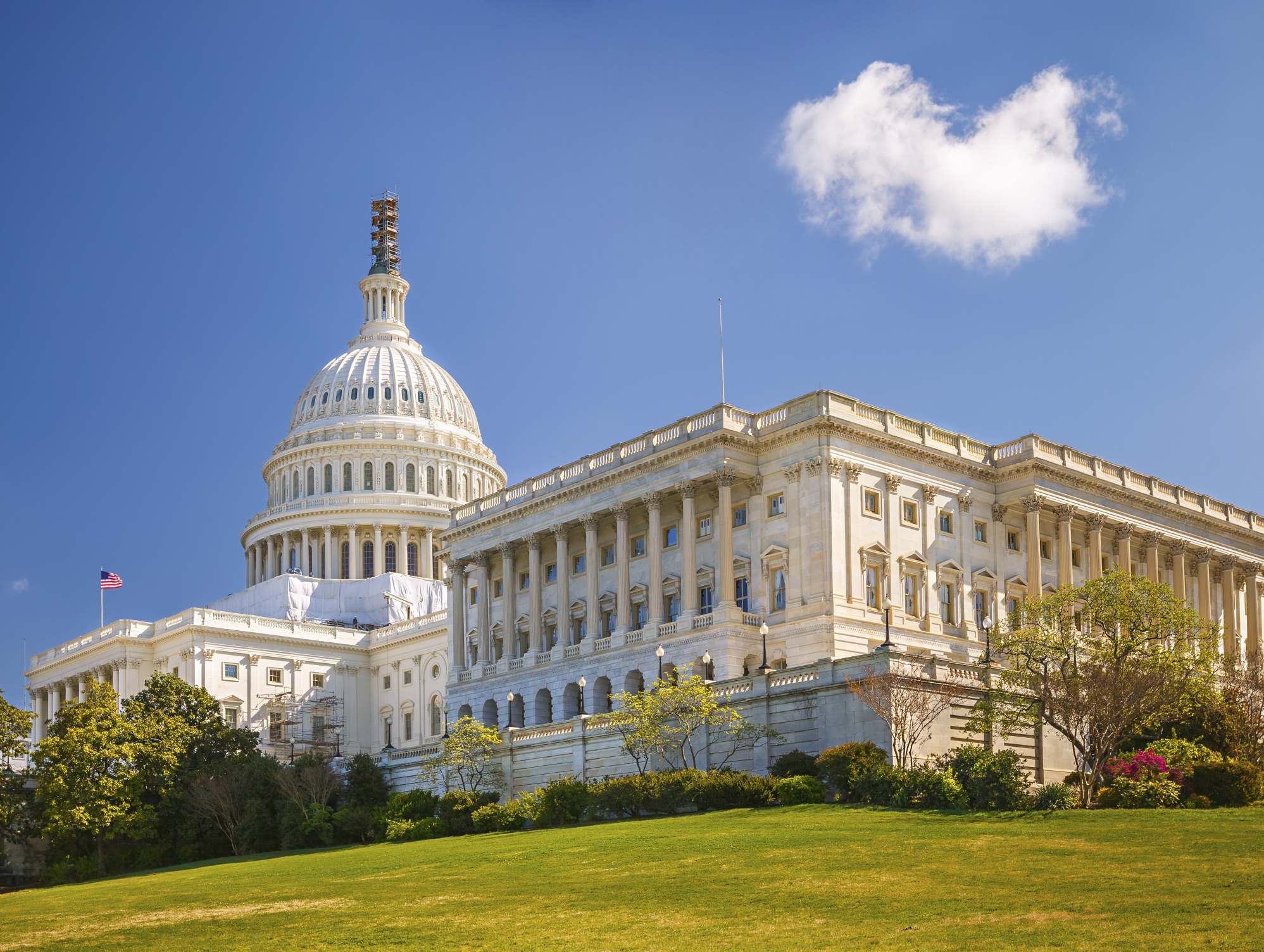 Lobbying firm cuts to the chase, calls itself ‘HillStaffer’