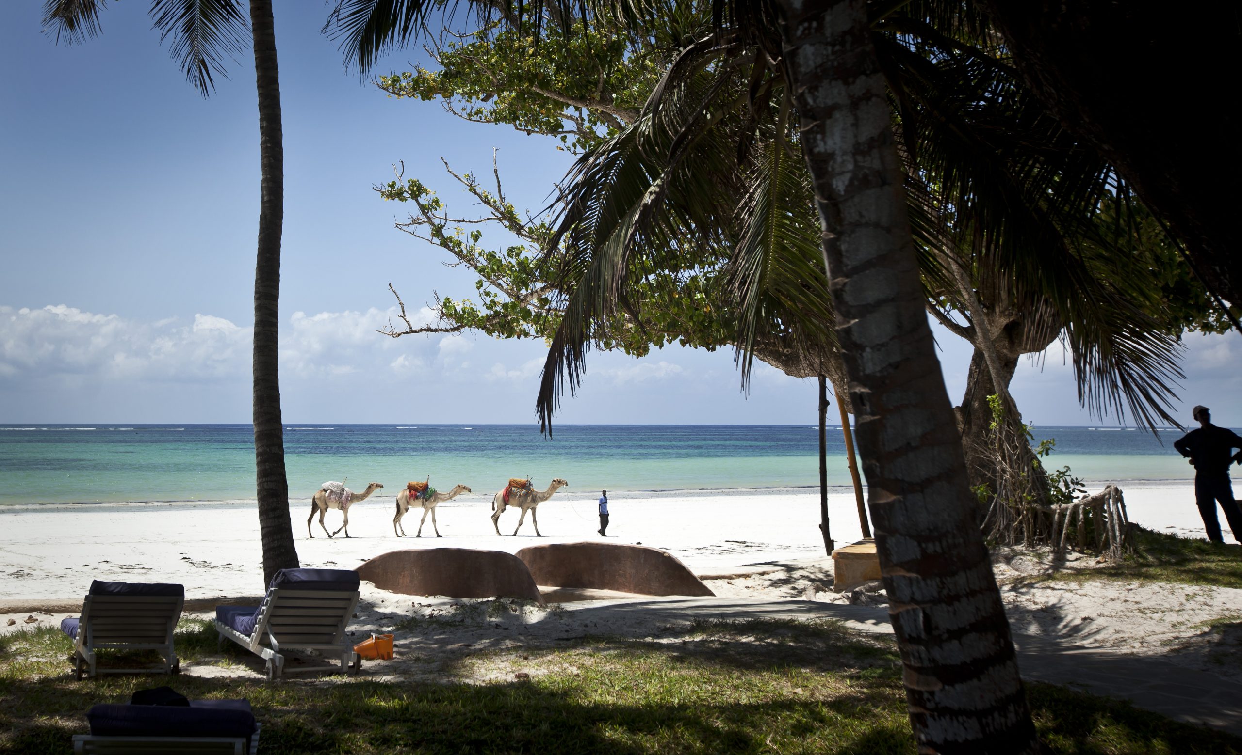 Rampant Ebola fear takes toll on Africa tourism
