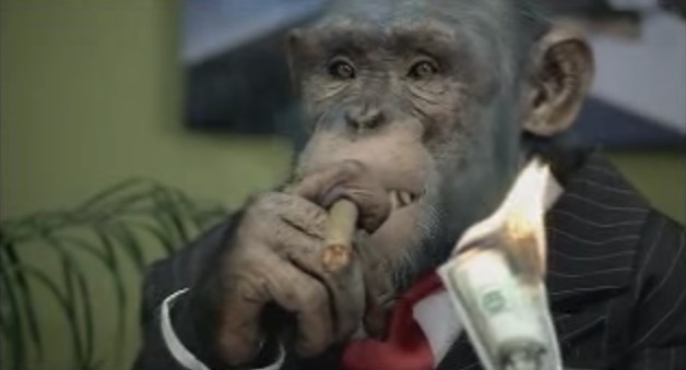 Beware of emails with monkey videos, cyber watchdog says