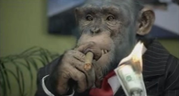 Beware of emails with monkey videos, cyber watchdog says