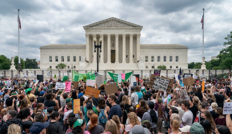 Abortion law, baby formula shortages, and viruses — the year that was in healthcare