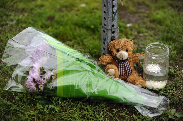 Newtown family member sends out email plea for gun control on behalf of Obama lobbying group