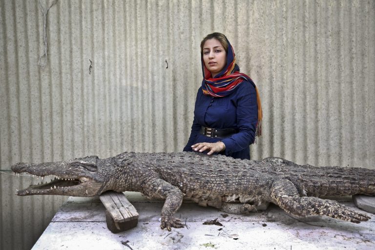 Iran eyes snappier businesses to boost economy