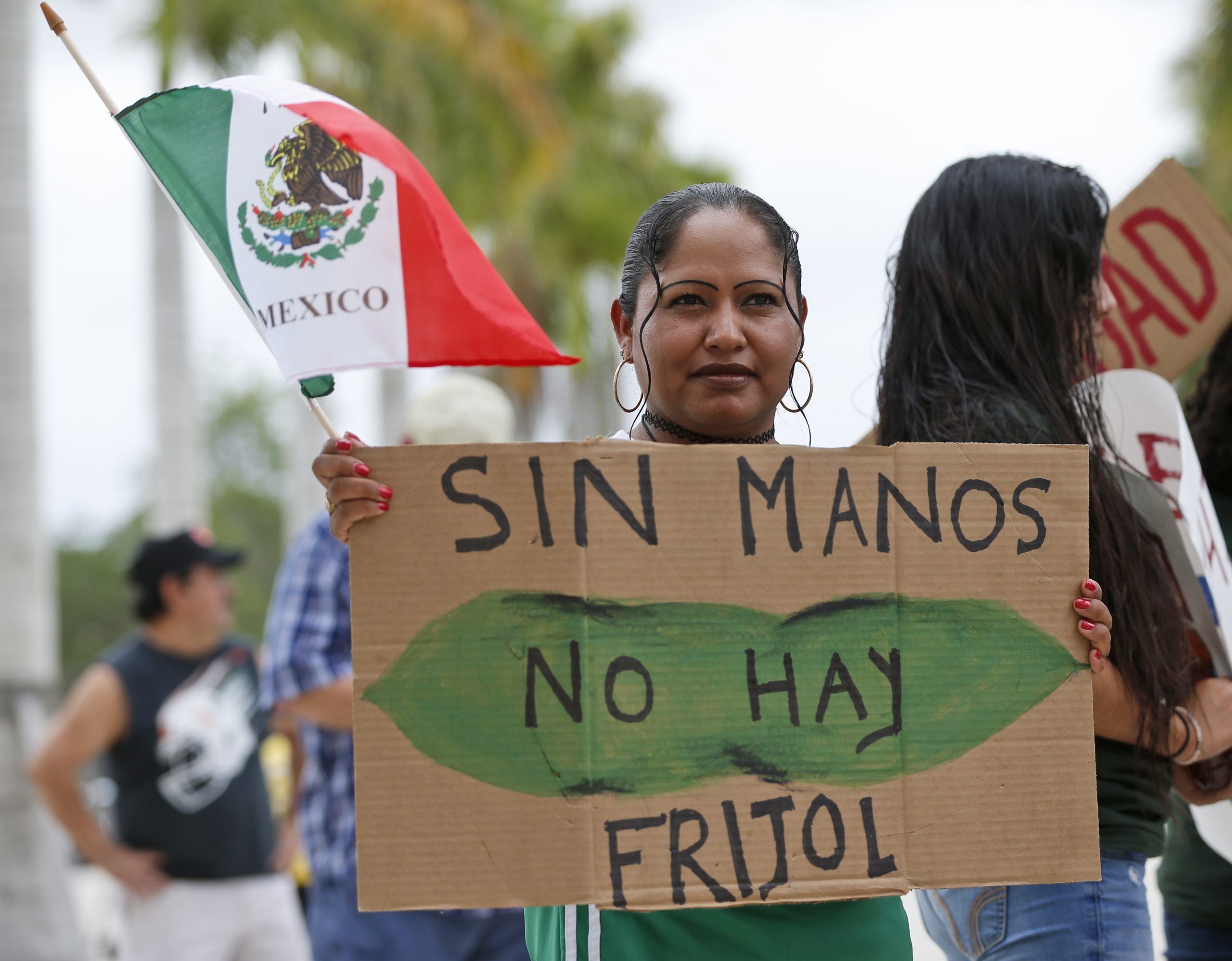 Report: Illegal immigration costs $296 billion in lost taxes