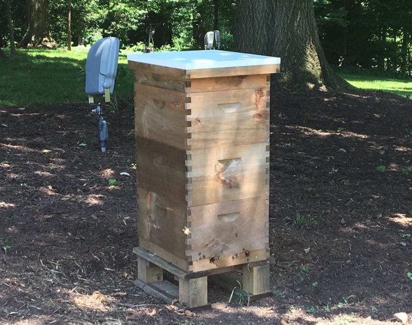 Beehive 2: Beehive installed at vice president’s house, joining White House