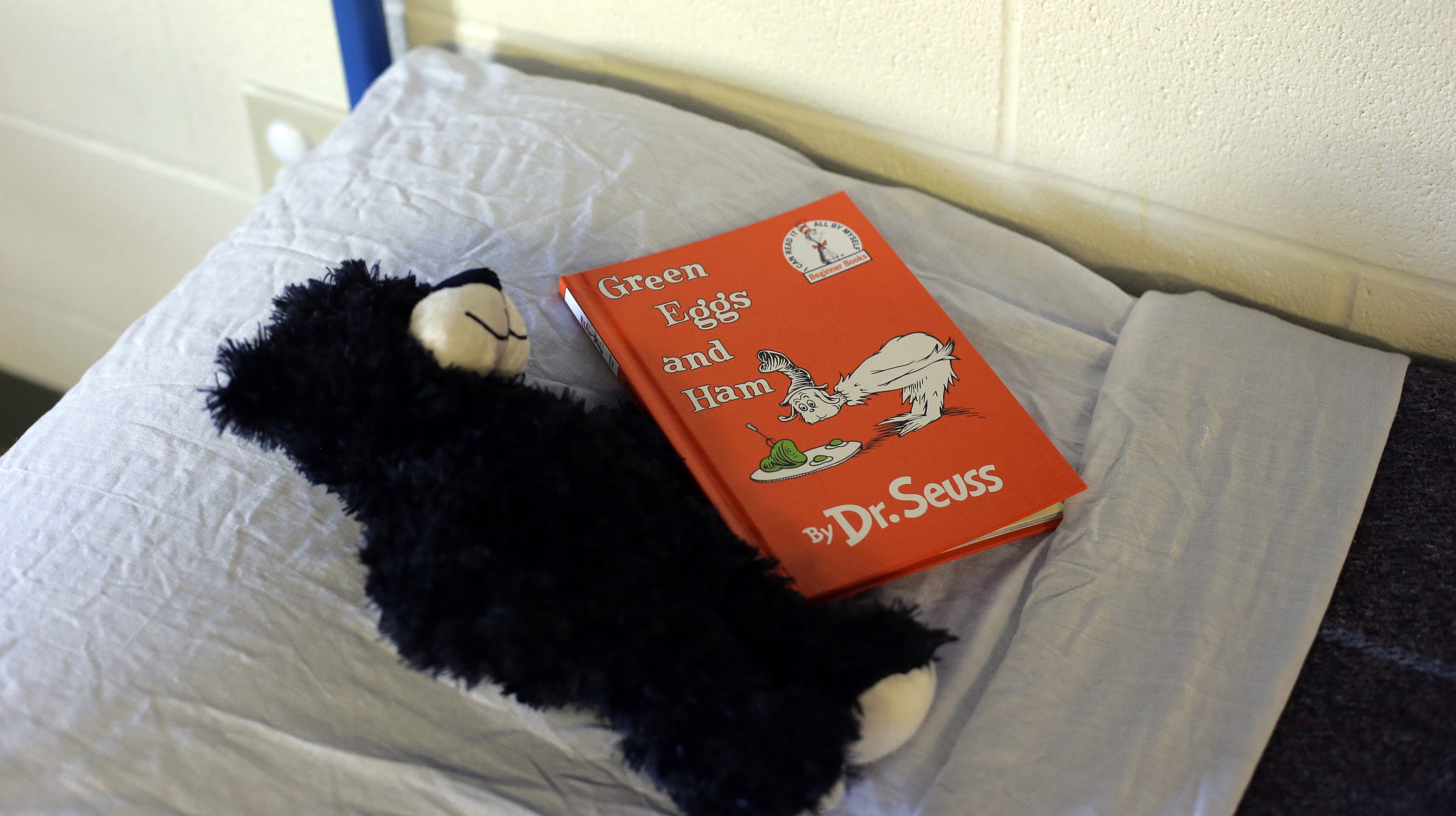 Softer side of immigrant detention shown in Texas