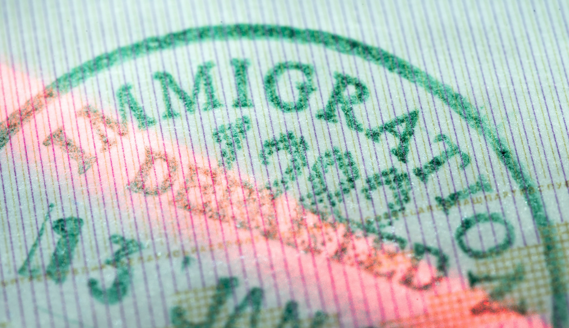 Wife of Army Special Forces veteran could be deported: Report