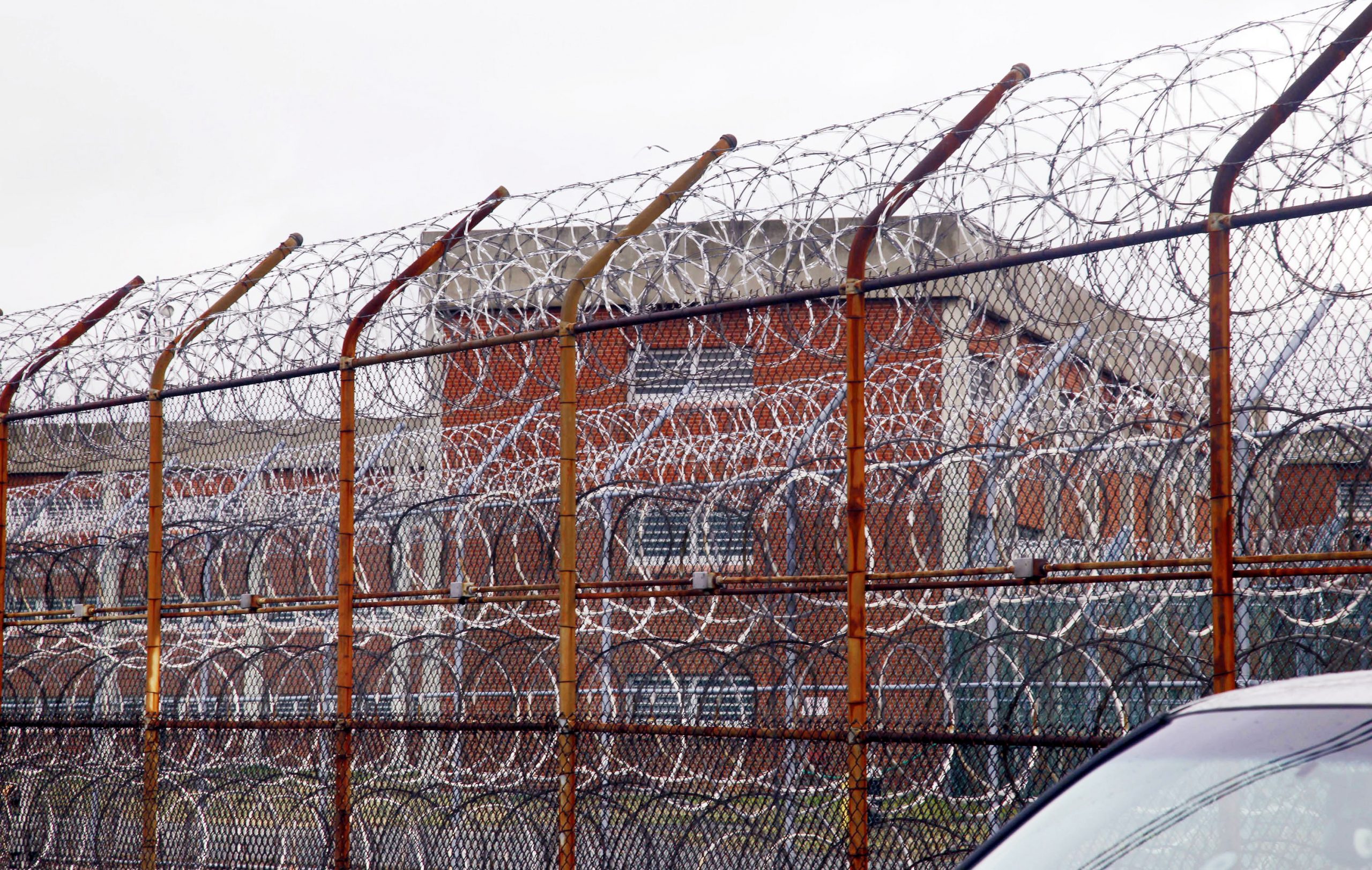 Solitary Confinement Rikers Island