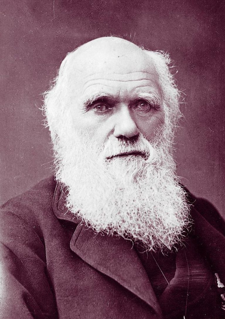 Prufrock: Tom Wolfe on Darwin, Auden’s Prose, and a History of Jewish Copyright Law