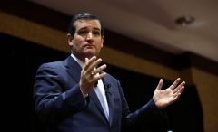 Ted Cruz: ‘Useful idiots’ at United Nations help Hamas