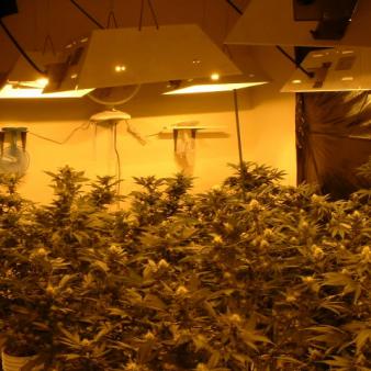 Obama’s Jamaican Fantasy