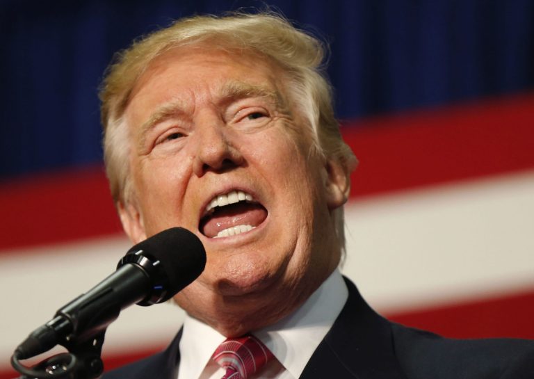 Donald Trump speaks at a campaign rally in Fredericksburg, Va., Saturday, Aug. 20, 2016. (AP Photo/Gerald Herbert)