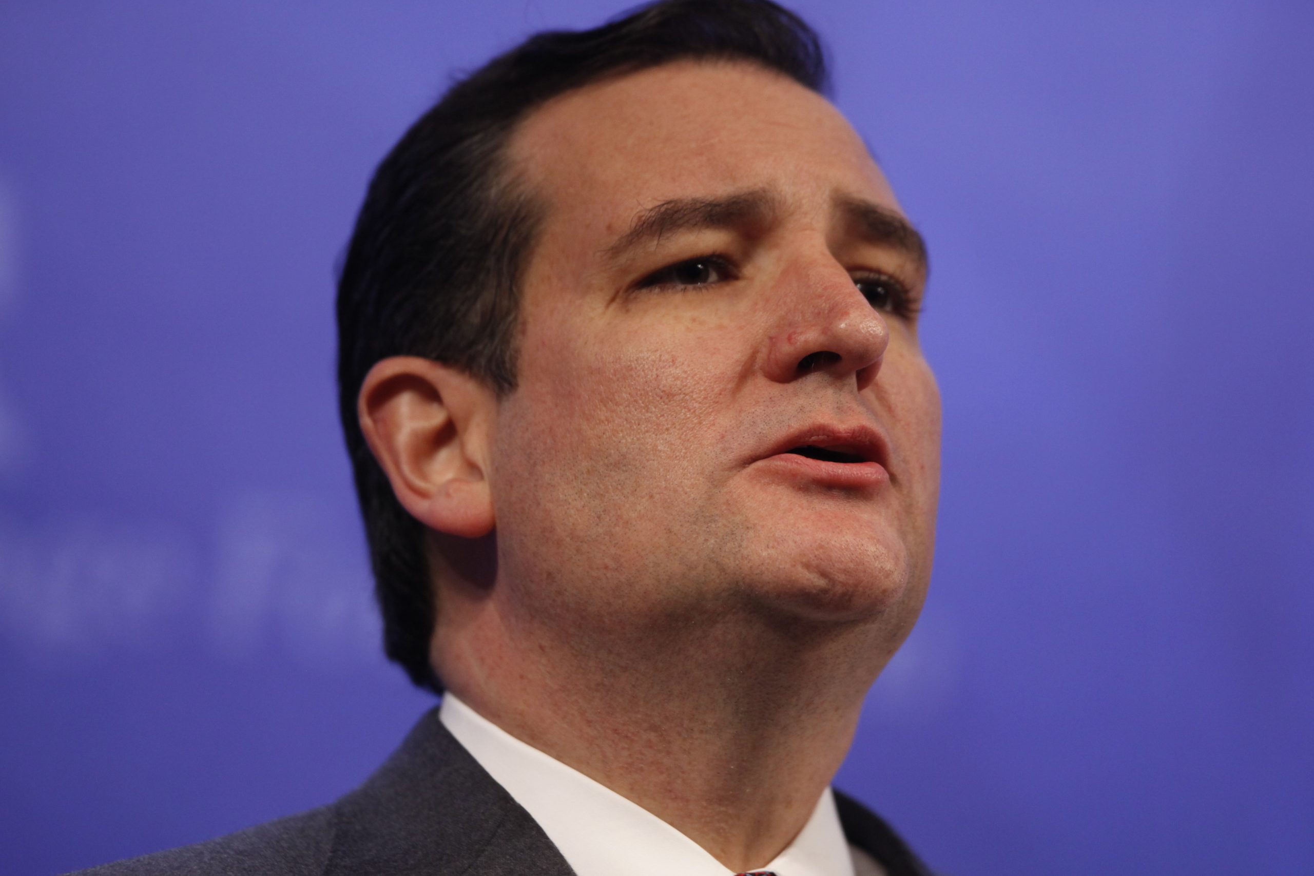 Ted Cruz: Establishment Republican heads ‘exploded’ after debt ceiling ruse exposed