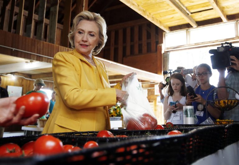 Democratic presidential candidate Hillary Rodham Clinton gets fresh tomatoes at Dimond Hill Farm between campaign stops Tuesday, July 28, 2015, in Hopkinton, N.H. (AP Photo/Jim Cole)