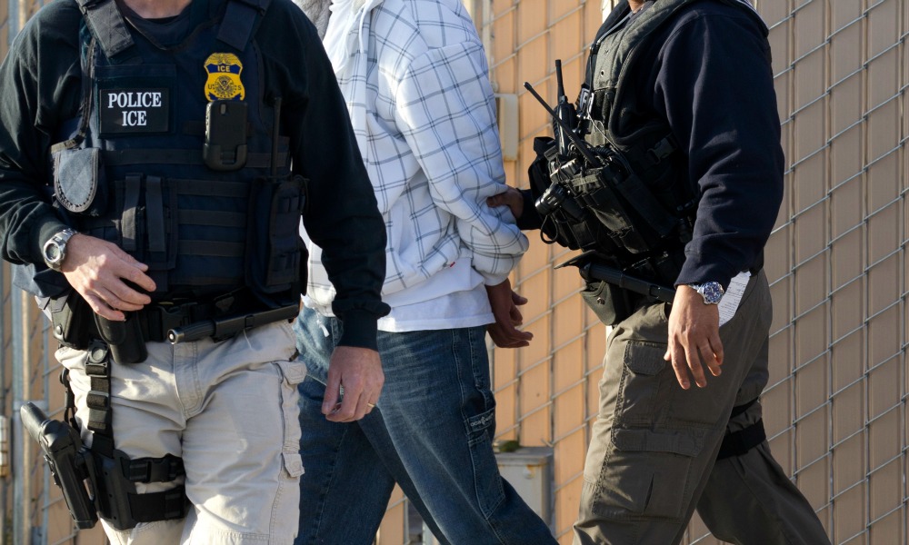Fugitive immigrant population greater than largest N.H. city