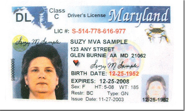 Maryland panel considers driver’s licenses for illegal immigrants