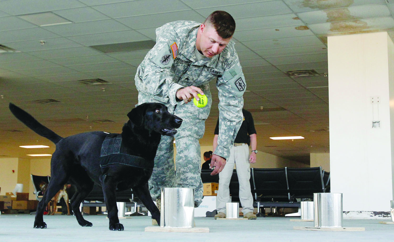 James Jay Carafano: A dog’s life for veterans