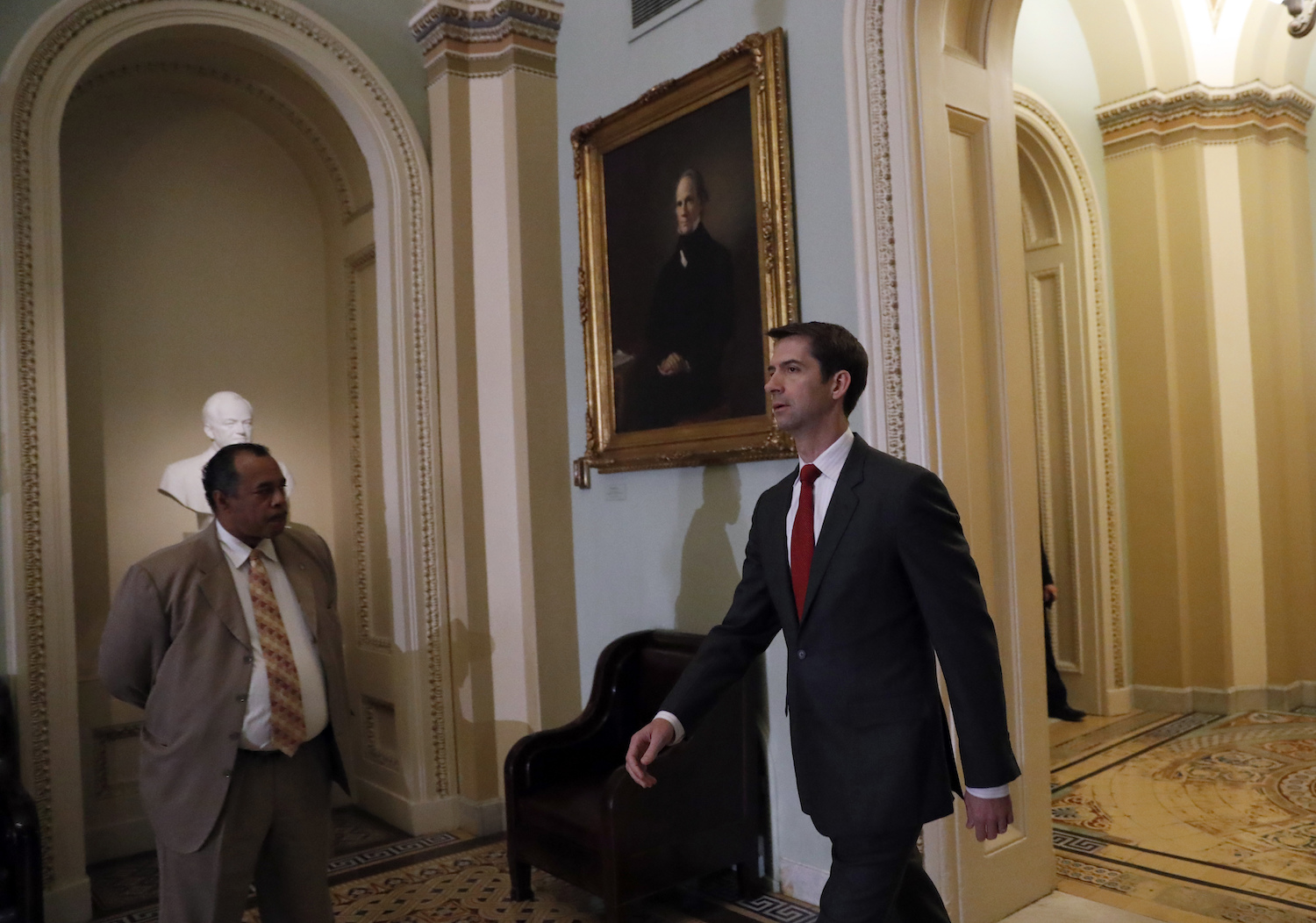 Cotton: Schumer ‘shedding crocodile tears’ over immigration ban