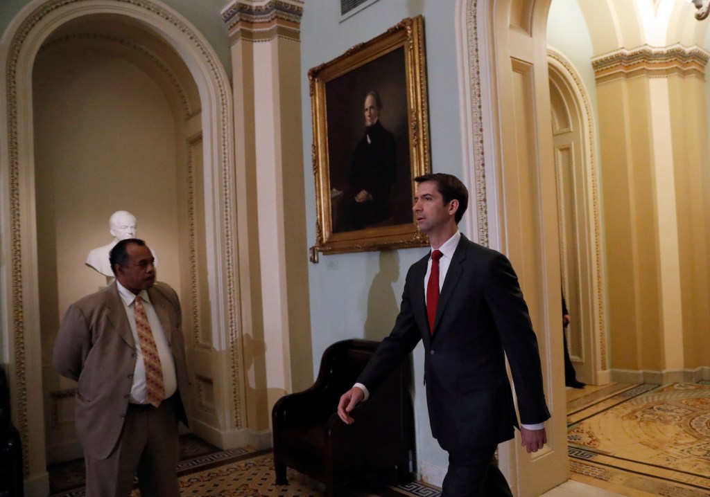 Cotton: Schumer ‘shedding crocodile tears’ over immigration ban