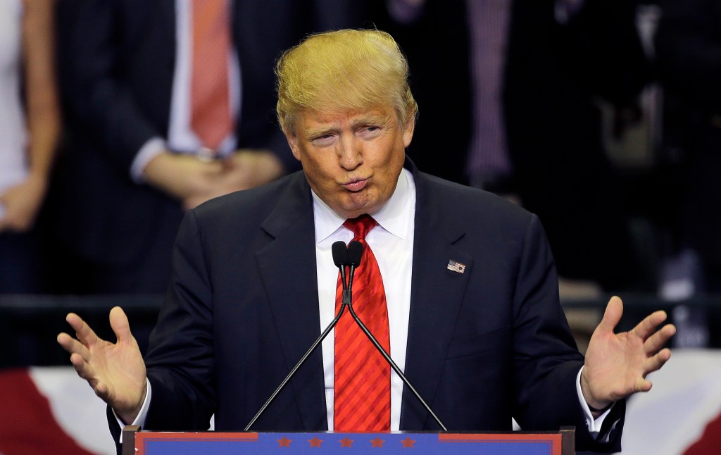 Democrats go after Trump 35x in party’s platform summary