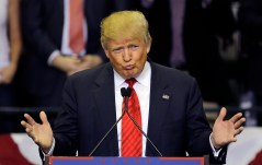 Democrats go after Trump 35x in party’s platform summary