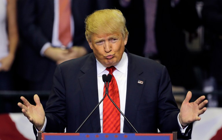 Donald Trump was cited 35 times in the Democratic Party's platform, more than any other GOP nominee in recent years. (AP Photo/Chris O'Meara)