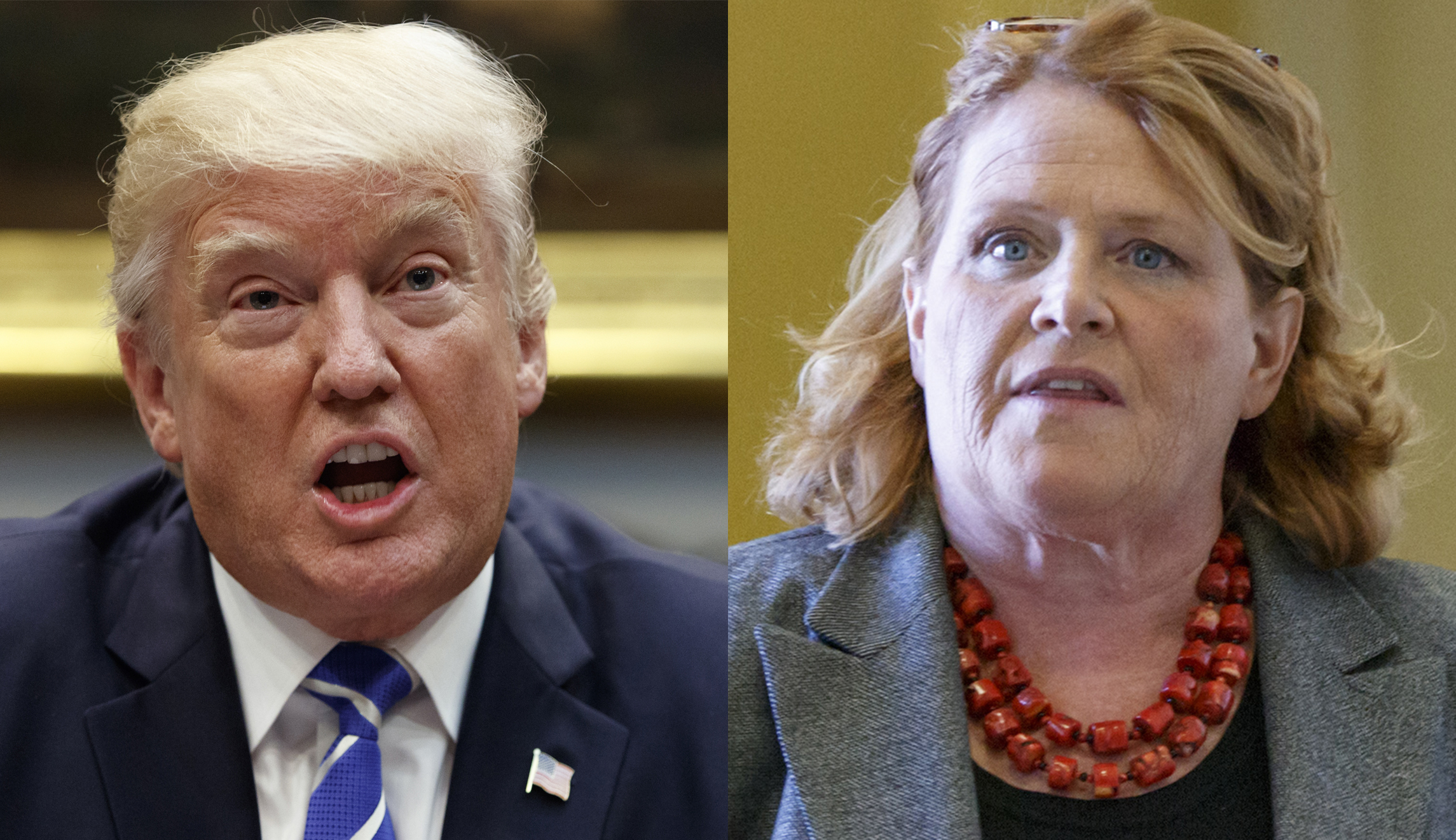 Trump asks Heidi Heitkamp for her vote on taxes at North Dakota rally