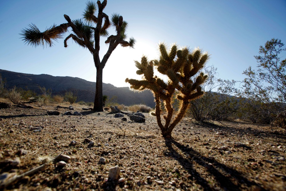 Obama almost doubles number of national monument acres