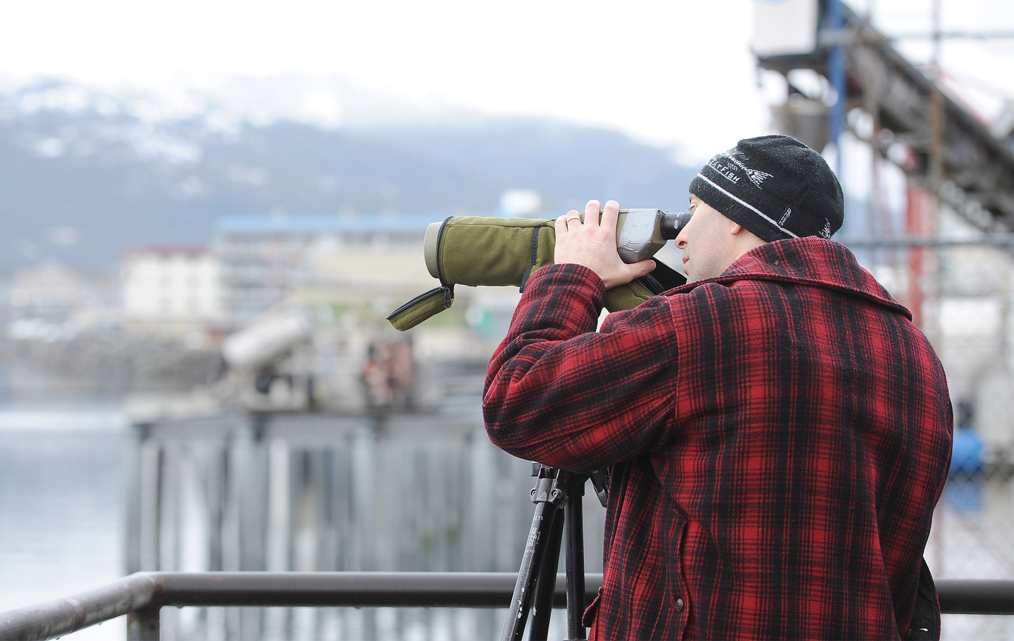 Volunteers fly in for Ketchikan bird count