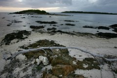 Greens seek to turn Puerto Rico debt into environmental debate