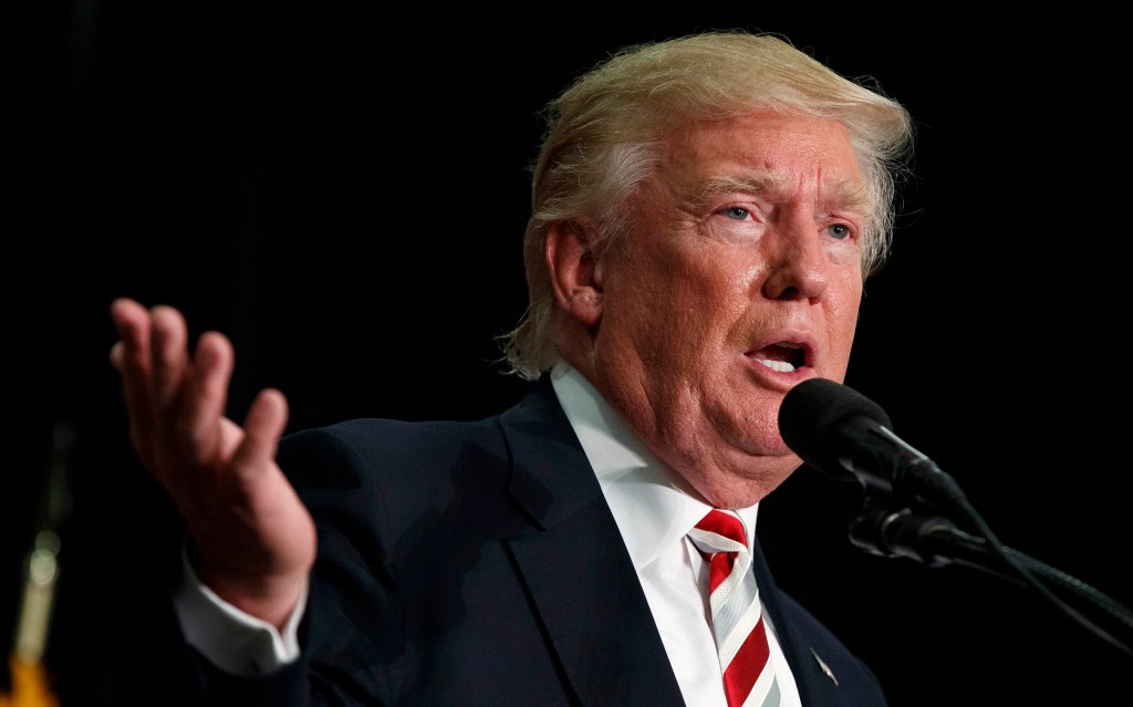 What everyone’s missing about Trump’s Second Amendment comment