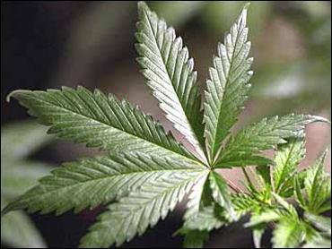 States with legal cannabis see higher home values, but Illinois lags behind