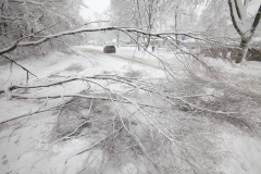 Who’s at risk for grid outages this winter and beyond?