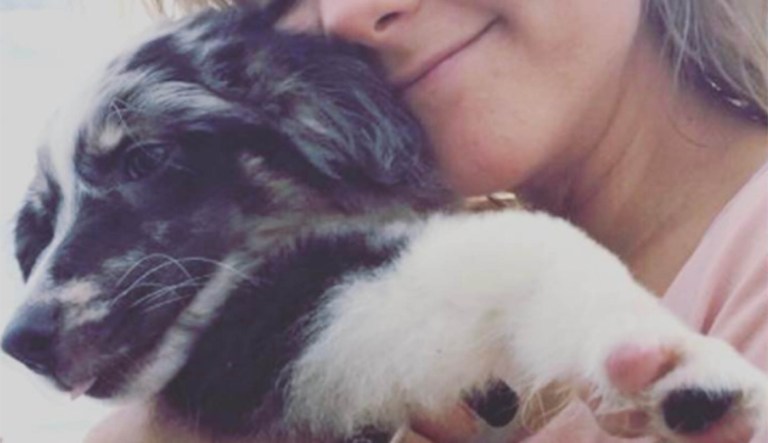 The second family now has a new puppy and a new kitten. (Image courtesy screenshot)