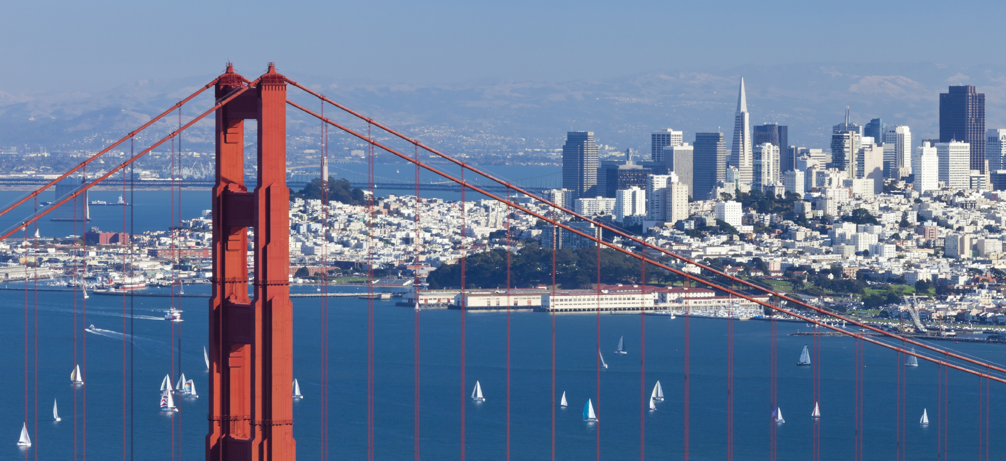 The most liberal and conservative cities revealed in one chart