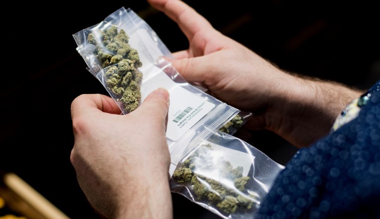 Only 16 percent supported keeping the current policy that makes marijuana illegal under federal law. (AP Photo/Noah Berger)