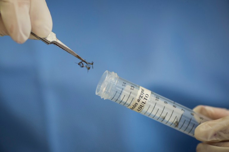 Lawmakers want to know about diagnostic testing, vaccines and treatments for the virus. (AP Photo/Felipe Dana)