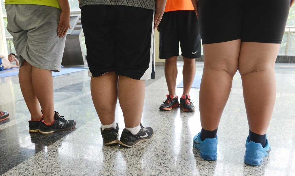 Gut check: Anti-obesity policies fall flat