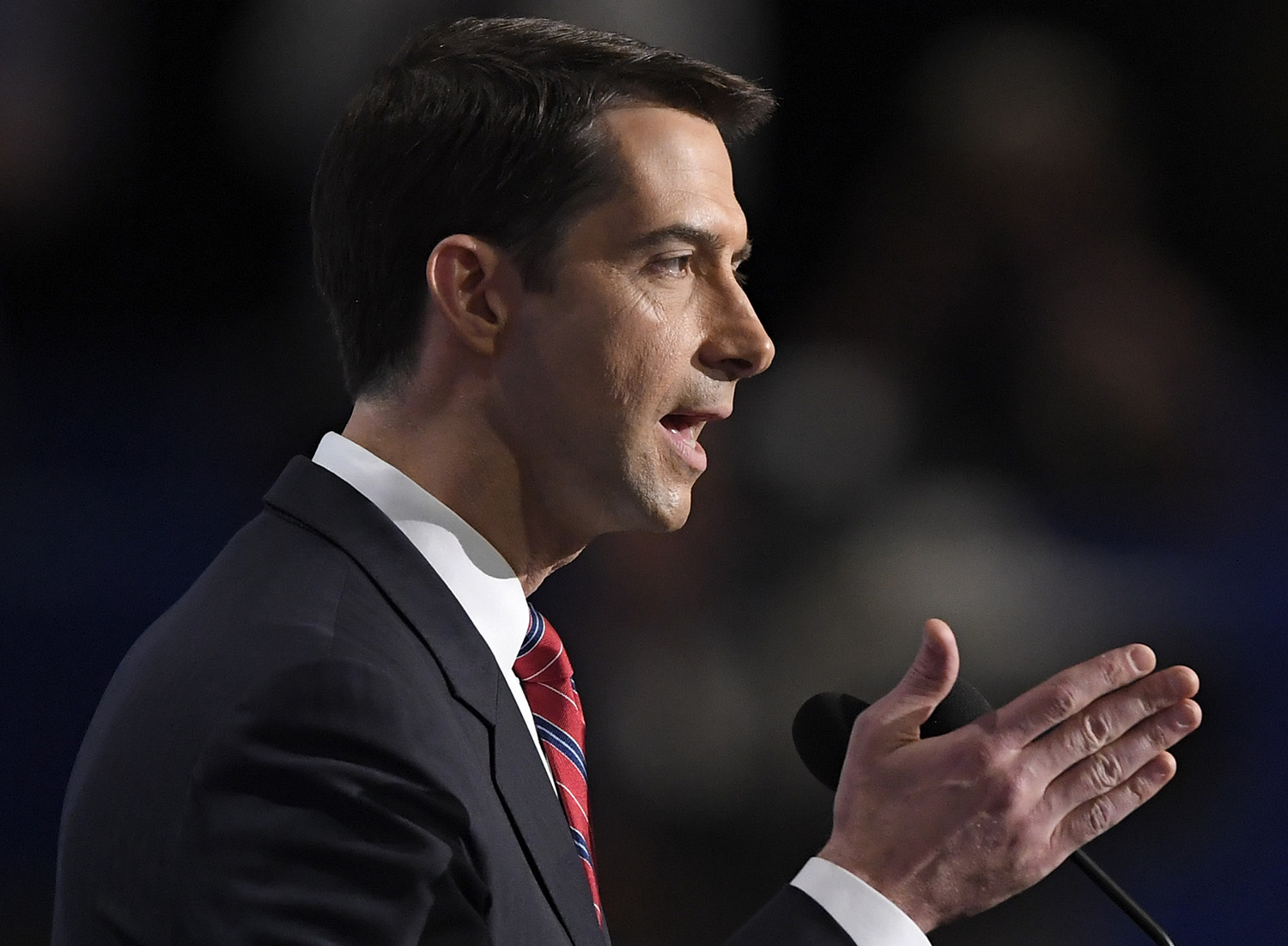 Tom Cotton proposes intel office to stop China from stealing food technology