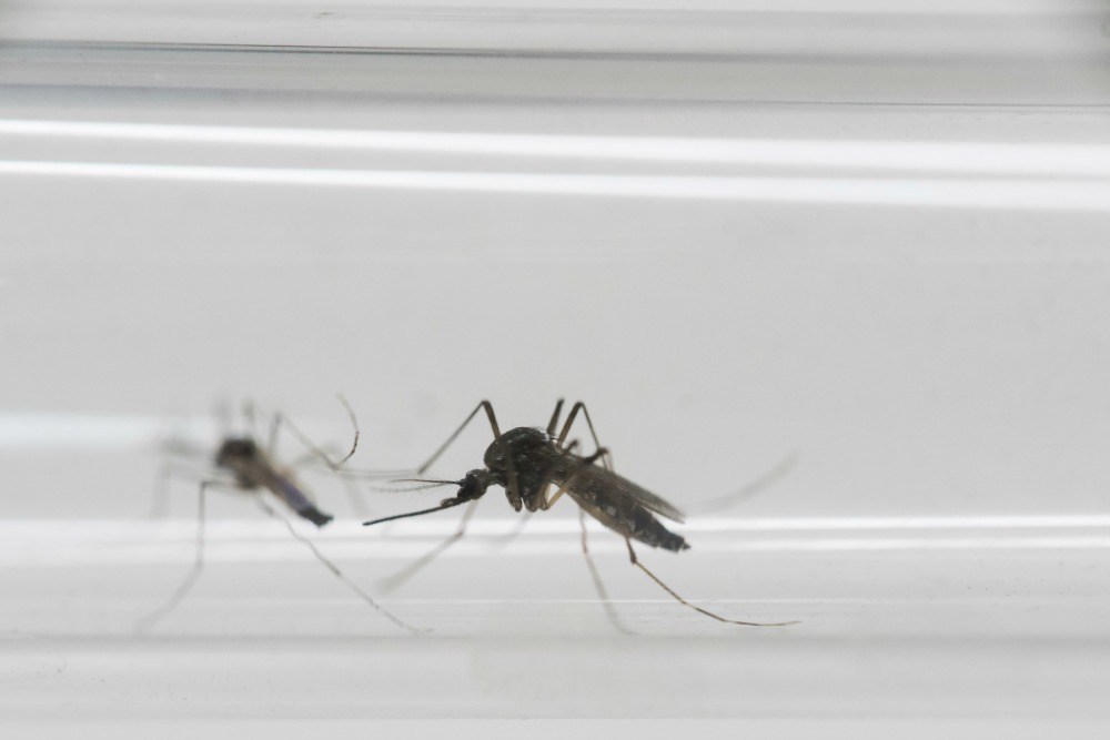 GOP sets mid-June goal for Zika bill