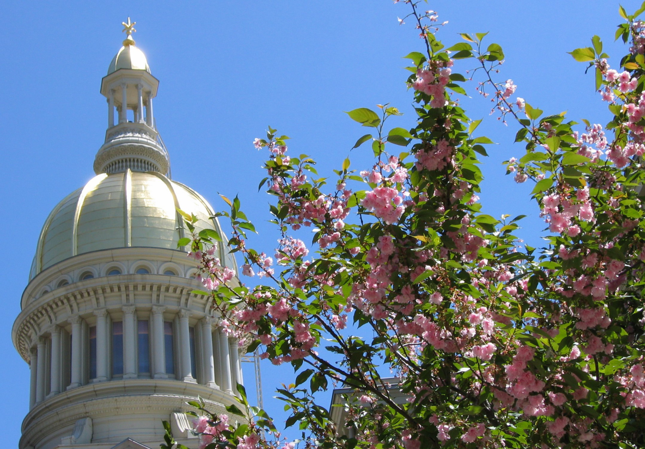 New Jersey flirts with radical abortion bill