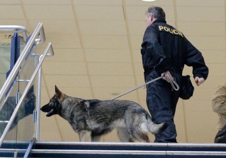 A statement released by Czech police said the man was located on Tuesday at a hotel in Prague, where he was staying with a girlfriend. (AP Photo/Petr David Josek)