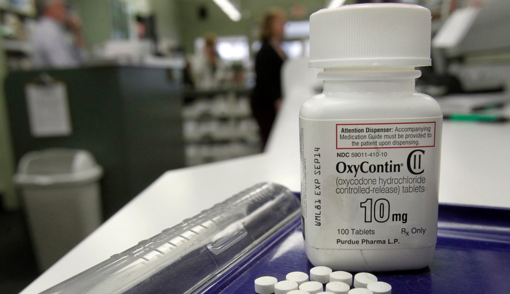 South Carolina sues Oxycontin maker