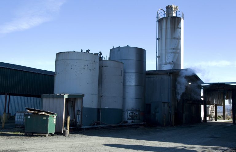   FILE - This Feb. 1, 2012, file photo, shows the Willamette Biomass Processors plant in Rickreall, Ore., which crushes canola and other seeds to make biofuel and/or food grade canola oil. The Oregon Department of Agriculture has reached a decision on its controversial proposal to expand production of canola oil in the Willamette Valley for use in renewable fuels.(AP Photo/The Oregonian, Beth Nakamura, file) MAGS OUT; TV OUT; LOCAL TV OUT; LOCAL INTERNET OUT; THE MERCURY OUT; WILLAMETTE WEEK OUT; PAMPLIN MEDIA GROUP OUT  