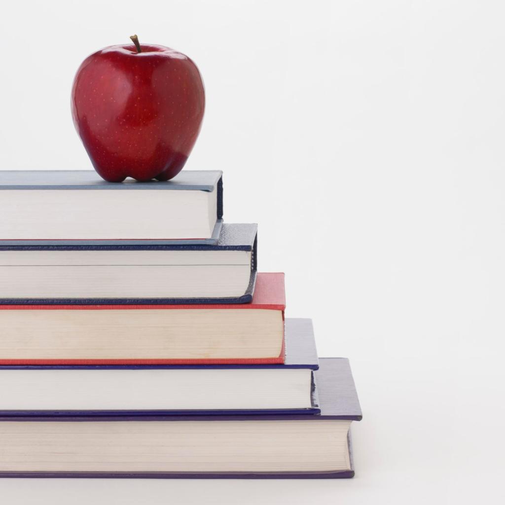 Program aims to attract more teachers for rural areas of Illinois