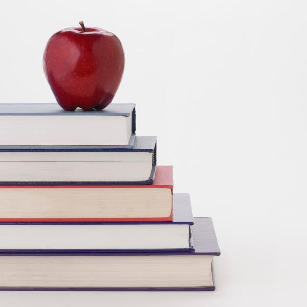 Program aims to attract more teachers for rural areas of Illinois
