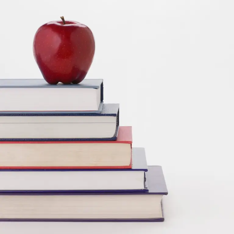 Iowa pays 11 employers to provide language programs