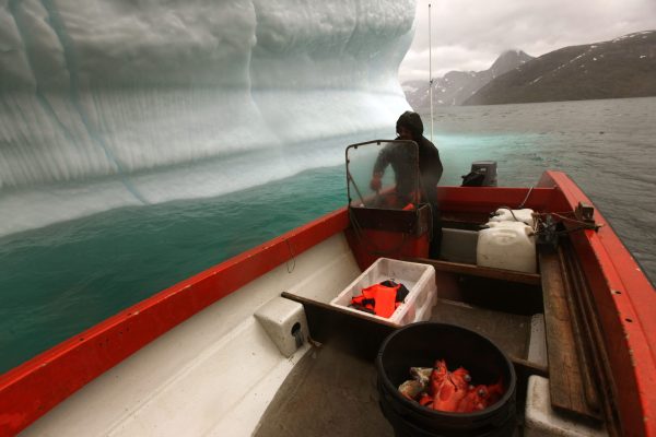 Academic study not shy on who to blame for climate change: White people