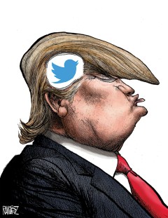Bird Brain